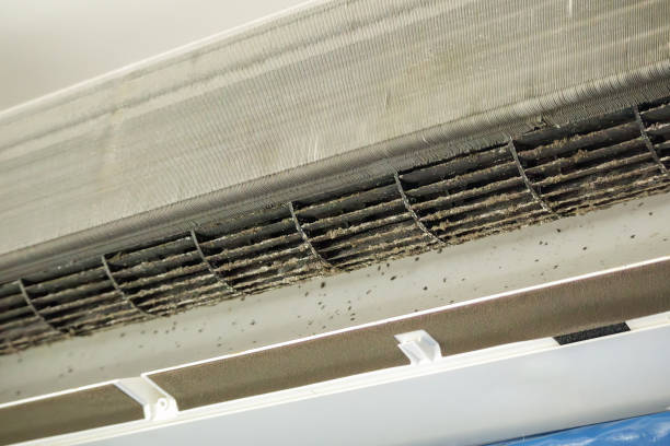 Best Home Air Vent Cleaning  in Guttenberg, IA