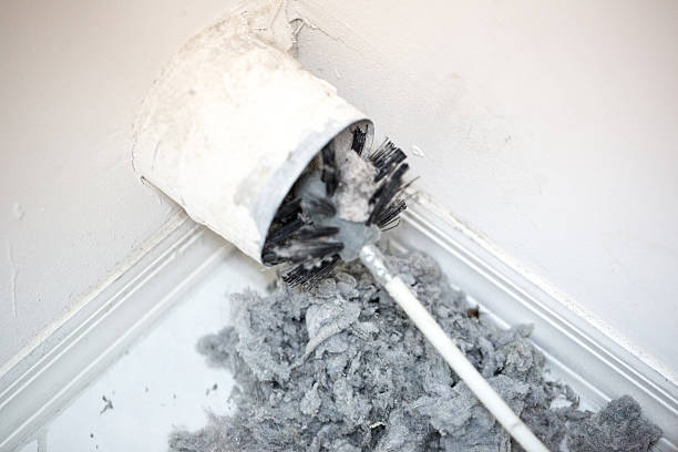 Best Affordable Duct Cleaning Services  in Guttenberg, IA